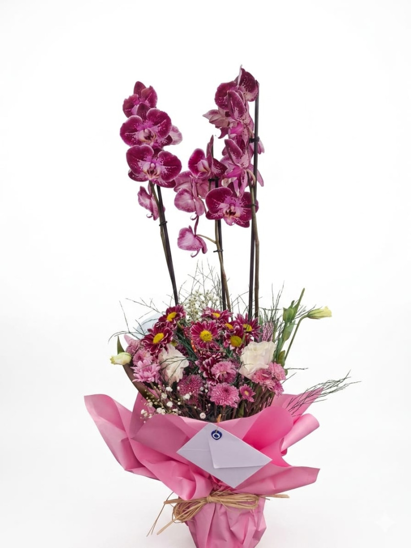 3lü İthal Orkide